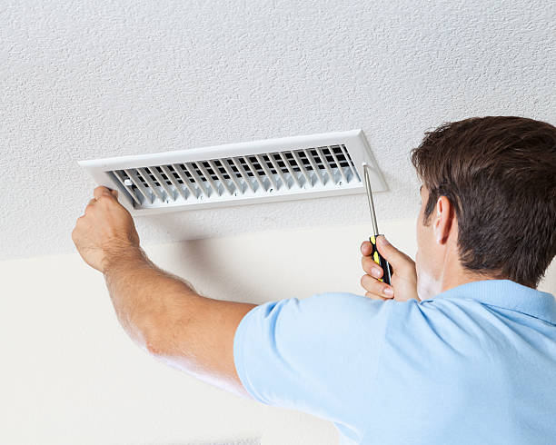 Best Post-Construction Mold Inspection  in Primera, TX